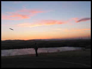 Peter soaring the Moth at Los Banos