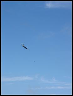 flying