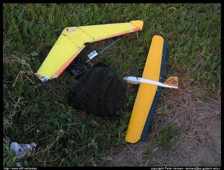 my Zagi THL and North County Flying Machines Moth at Westridge