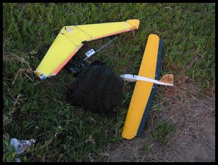 my Zagi THL and North County Flying Machines Moth at Westridge