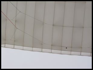 the parasail I was hanging from