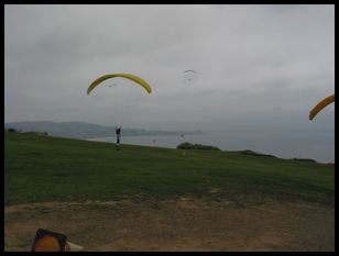 parasailers