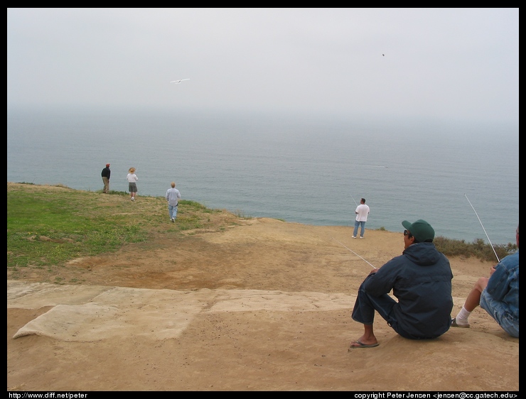 Torrey Pines