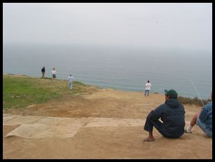 Torrey Pines