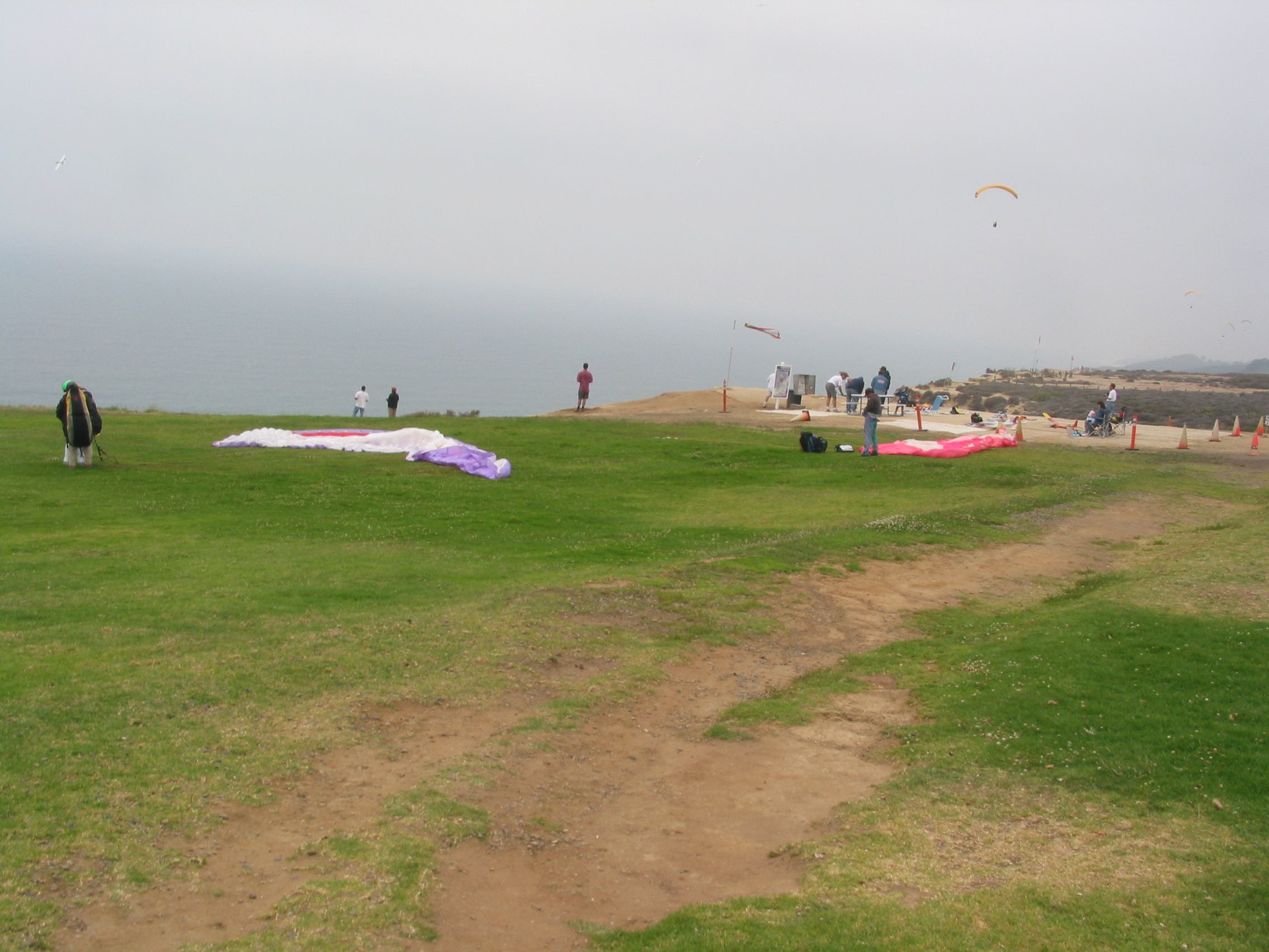 Torrey Pines