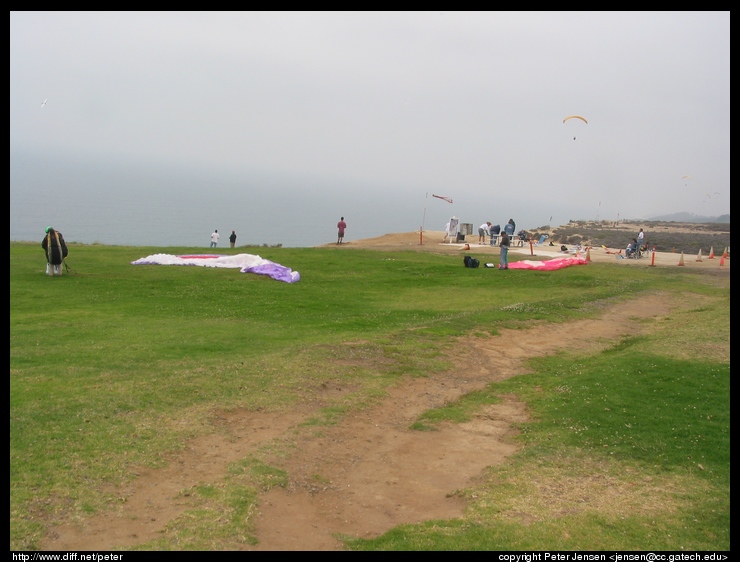 Torrey Pines