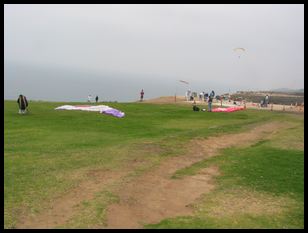 Torrey Pines