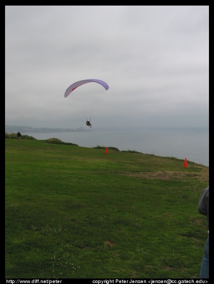 parasailer