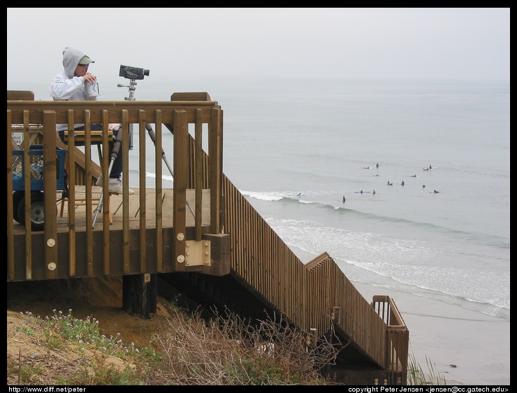 San Diego surfing school woman who was videotaping students