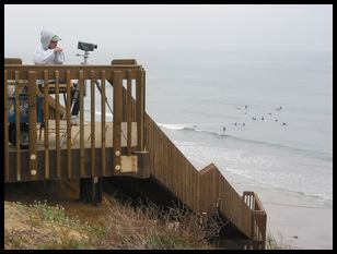 San Diego surfing school woman who was videotaping students