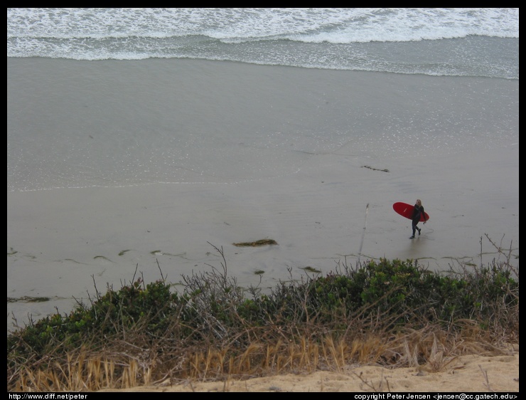 surfer on the beach