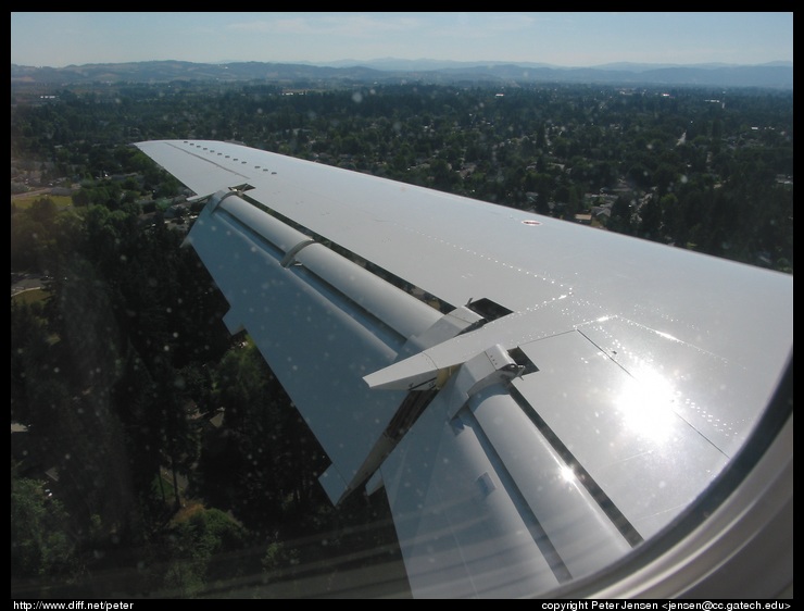 flaps