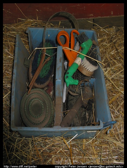 horse grooming supplies