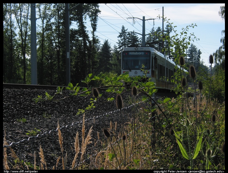 train