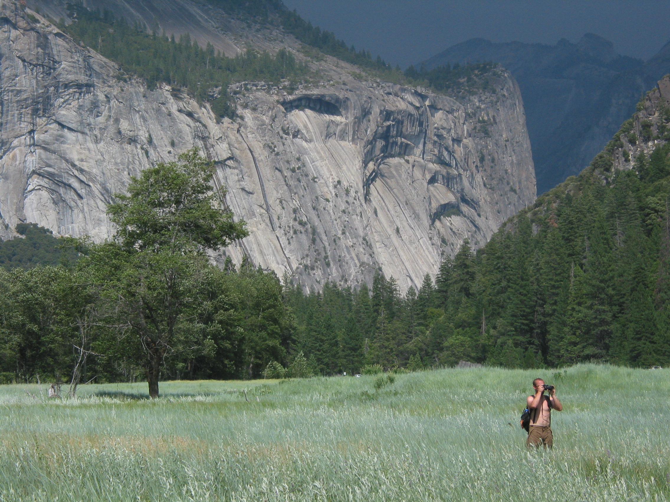 random photographer in the meadow