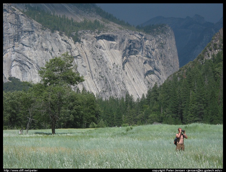 random photographer in the meadow