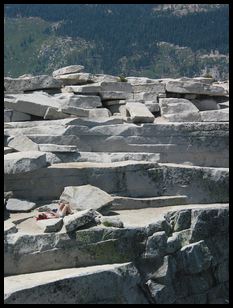 nice place for a nap