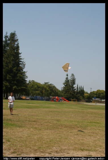 img 4175