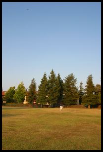 img 4199