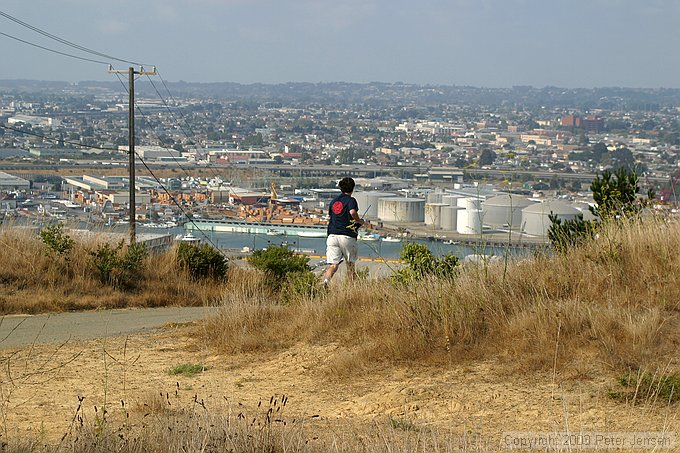 going to fetch over the hill