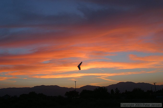mini-zagi flying over the BMX yard in Tehachapi