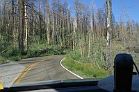 north rim Grand Canyon fire leftovers