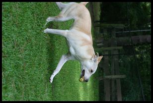 img 6383