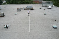 Charles (for scale) and the 20m monobander