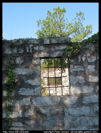 neat old windows