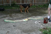 Union Safety Boss Max is on the scene and making sure everyone takes the requisite breaks