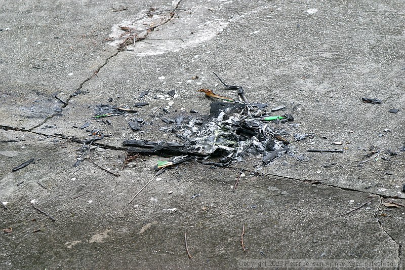 all that's left