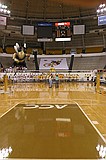 the court