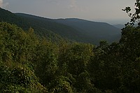 looking off the edge of the rim trail in a rare flat spot