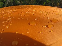 morning dew and rain on the fly of my tent