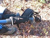 random wormy-things that liked the handles of our trekking poles