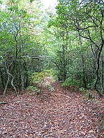 the pictures don't begin to convey how steep and annoying this trail really was...