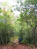 the pictures don't begin to convey how steep and annoying this trail really was...