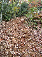 the pictures don't begin to convey how steep and annoying this trail really was...