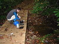 cooking a snack on the footbridge near Bristol Horse Camp