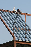 neat triangles on the building that's going up right next door to my lab. Shot from right next to Rocky Mountain Pizza.