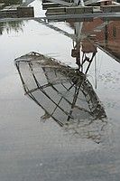 old dish