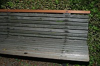 bench with flash