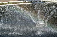 fountain