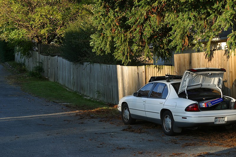 our western fenceline and my car