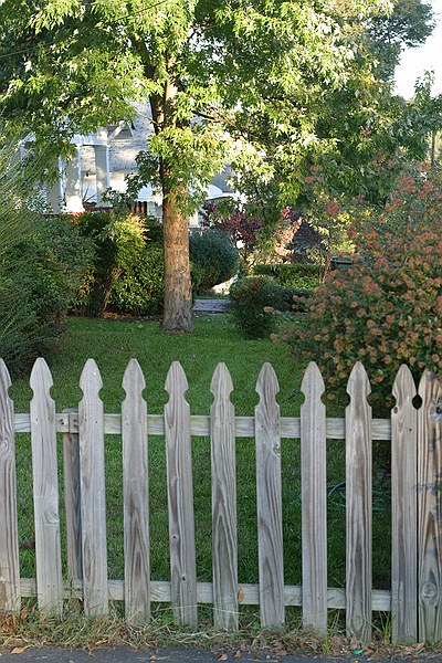 looking to the east across our front yard