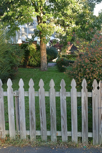 looking to the east across our front yard