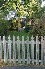 looking to the east across our front yard