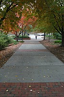 looking toward campus from next to the IC