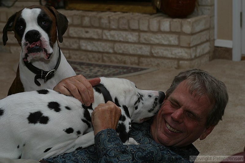 Bandit, Cooper, and Paul