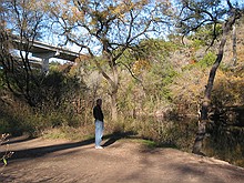 Paul by the mo-pac bridge and right next to the swimming hole with the good rope swings